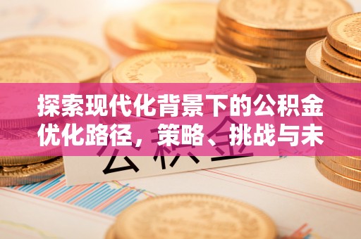 南安探索现代化背景下的公积金优化路径，策略、挑战与未来展望