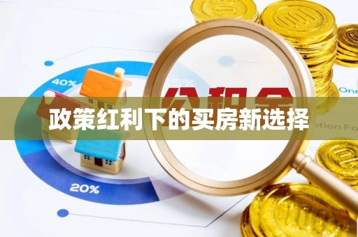 南安政策红利下的买房新选择