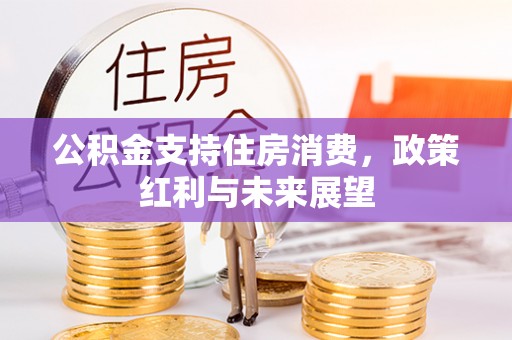 南安公积金支持住房消费，政策红利与未来展望