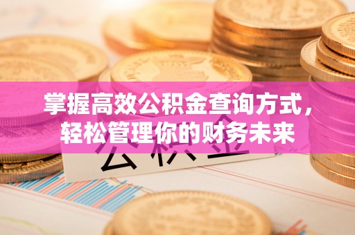 南安掌握高效公积金查询方式，轻松管理你的财务未来
