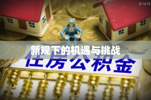 南安新规下的机遇与挑战
